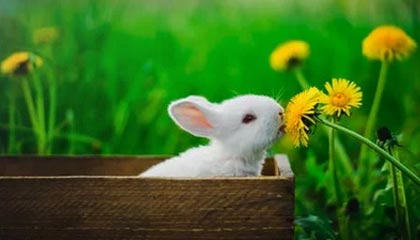 九游官网入口-C罗在训练中完成倒钩技惊四座，c罗倒钩什么水平